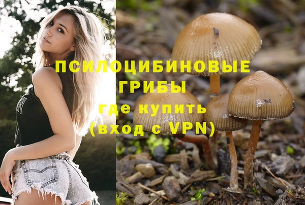 прущие грибы Валуйки