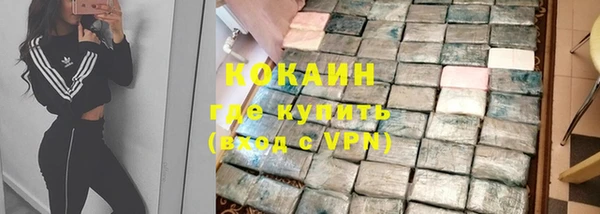 прущие грибы Волоколамск