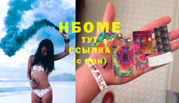 прущие грибы Волоколамск