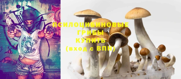 ГАЛЛЮЦИНОГЕННЫЕ ГРИБЫ Россошь