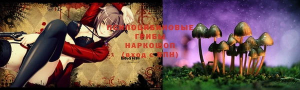 ГАЛЛЮЦИНОГЕННЫЕ ГРИБЫ Рославль