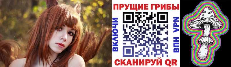 Псилоцибиновые грибы GOLDEN TEACHER  купить закладку  Галич 