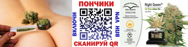 ОМГ ОМГ ссылки  Галич  Бошки Шишки сатива  где купить наркотик 